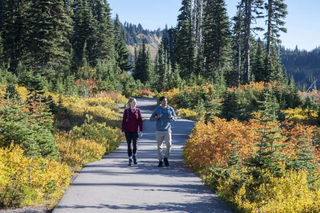 Mount Rainier Fall Hike Volcanoes