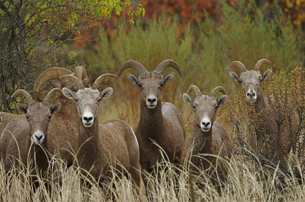 Things To Do In Central Washington