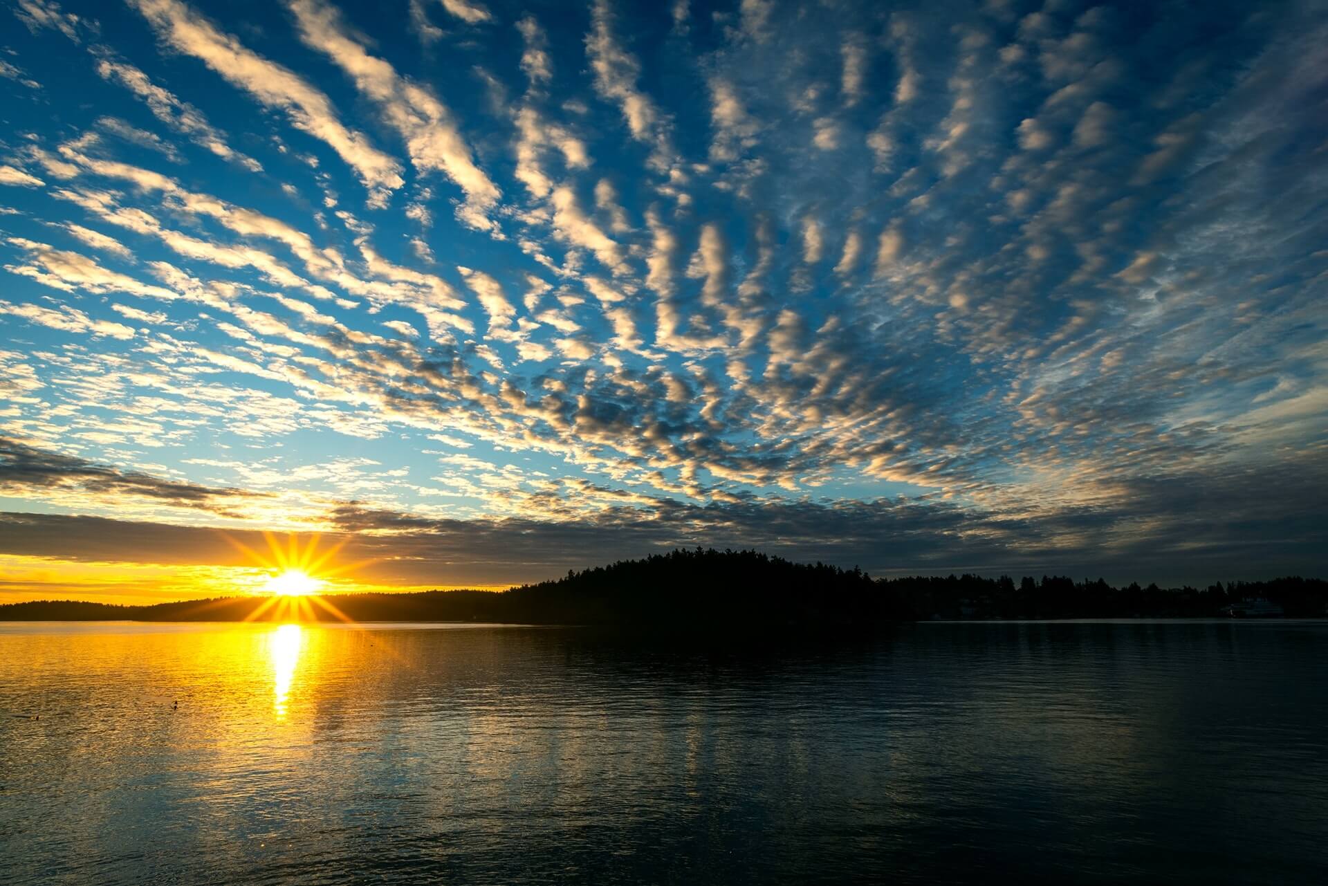 Islands In Washington State