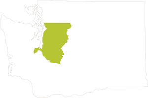 A white map of Washington with the Metro Puget Sound region highlighted.