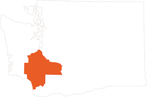 A white map of Washington with the Volcanoes region highlighted.