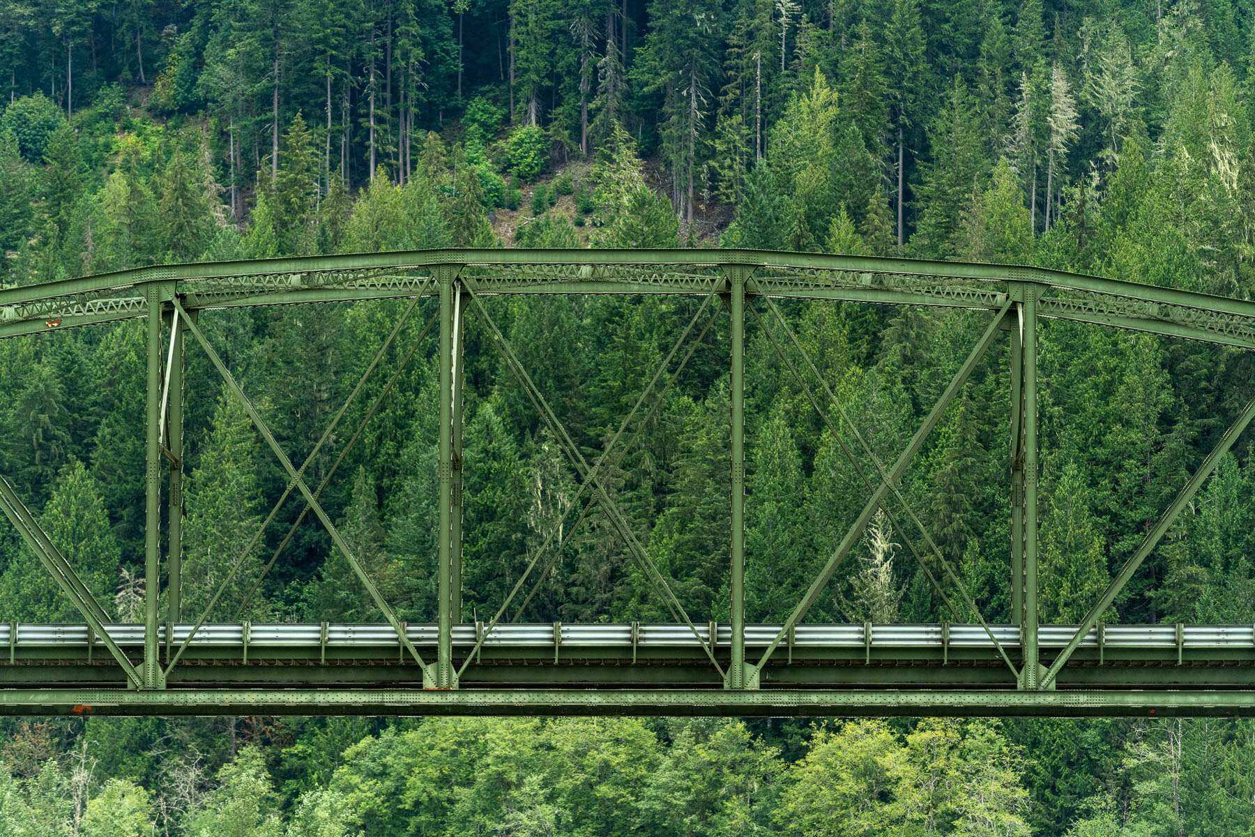 Railroad trestle bridge through the forest in Washington State