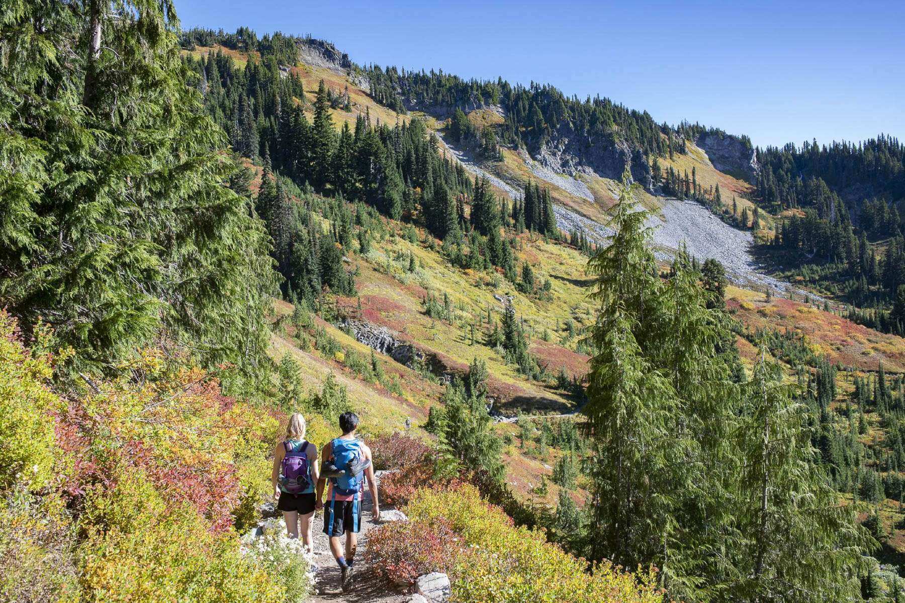 Two people hiking along a trail at Mount Rainier National Park