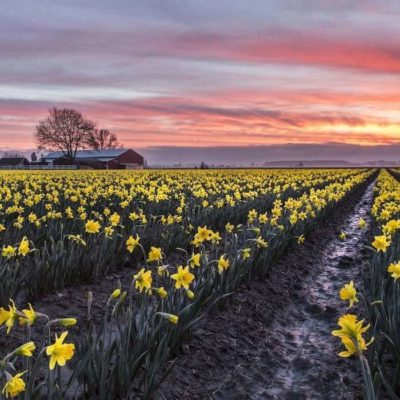 Seasons In Washington State: Our Climate By Season And Month