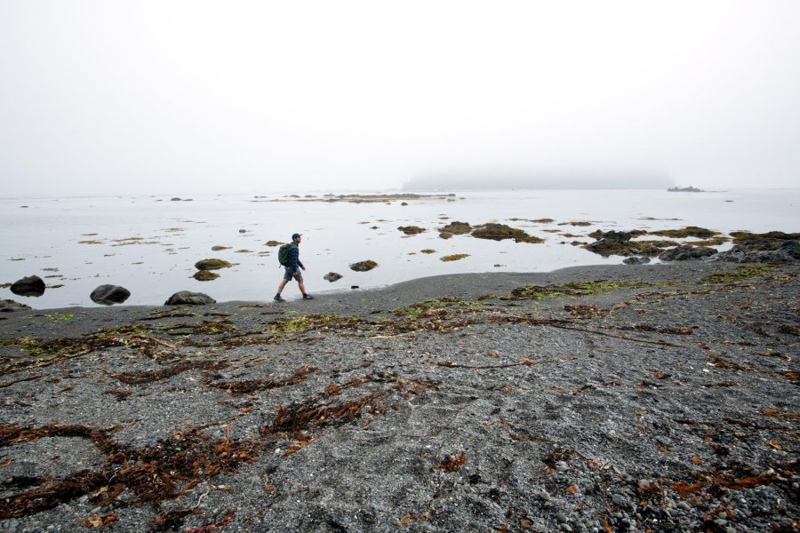 Things to do in the olympic peninsula washington