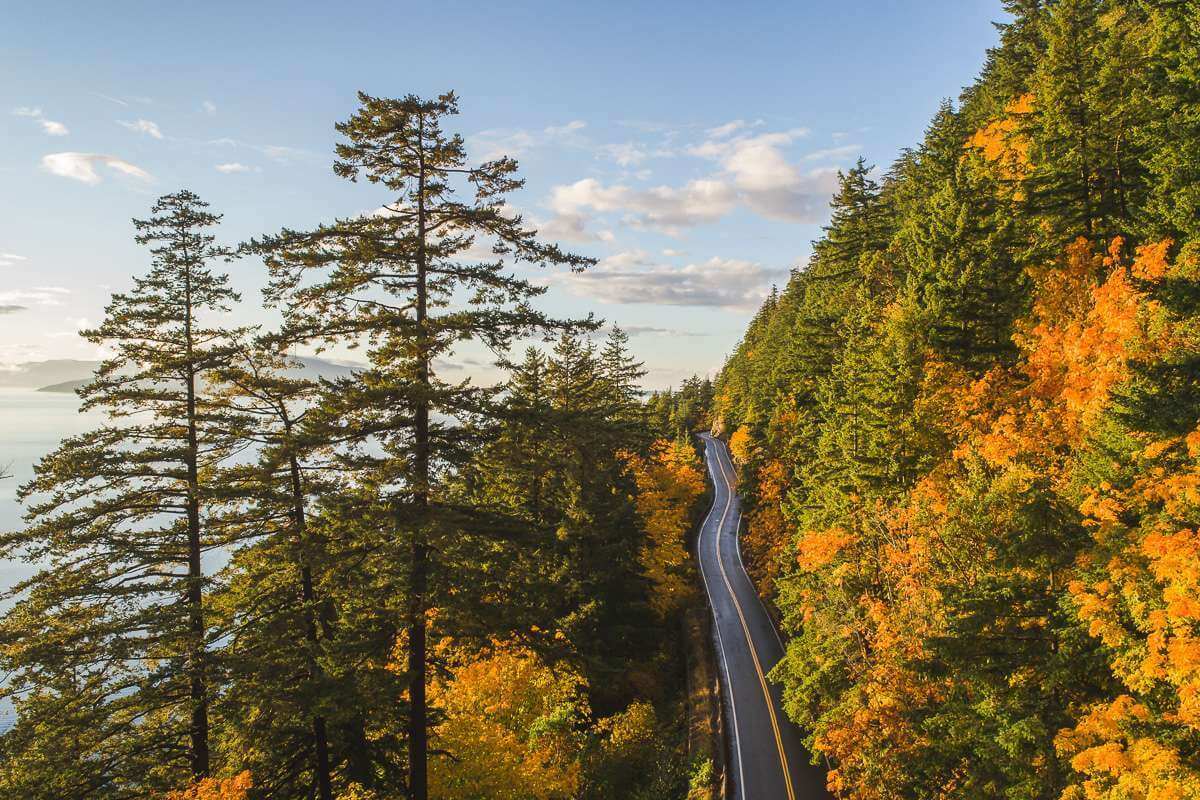 Highway running through the trees along the Washington coast