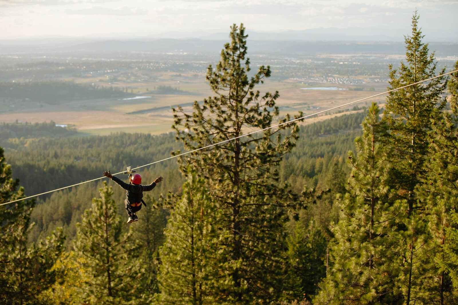 A kid ziplines above a tree-covered valley.