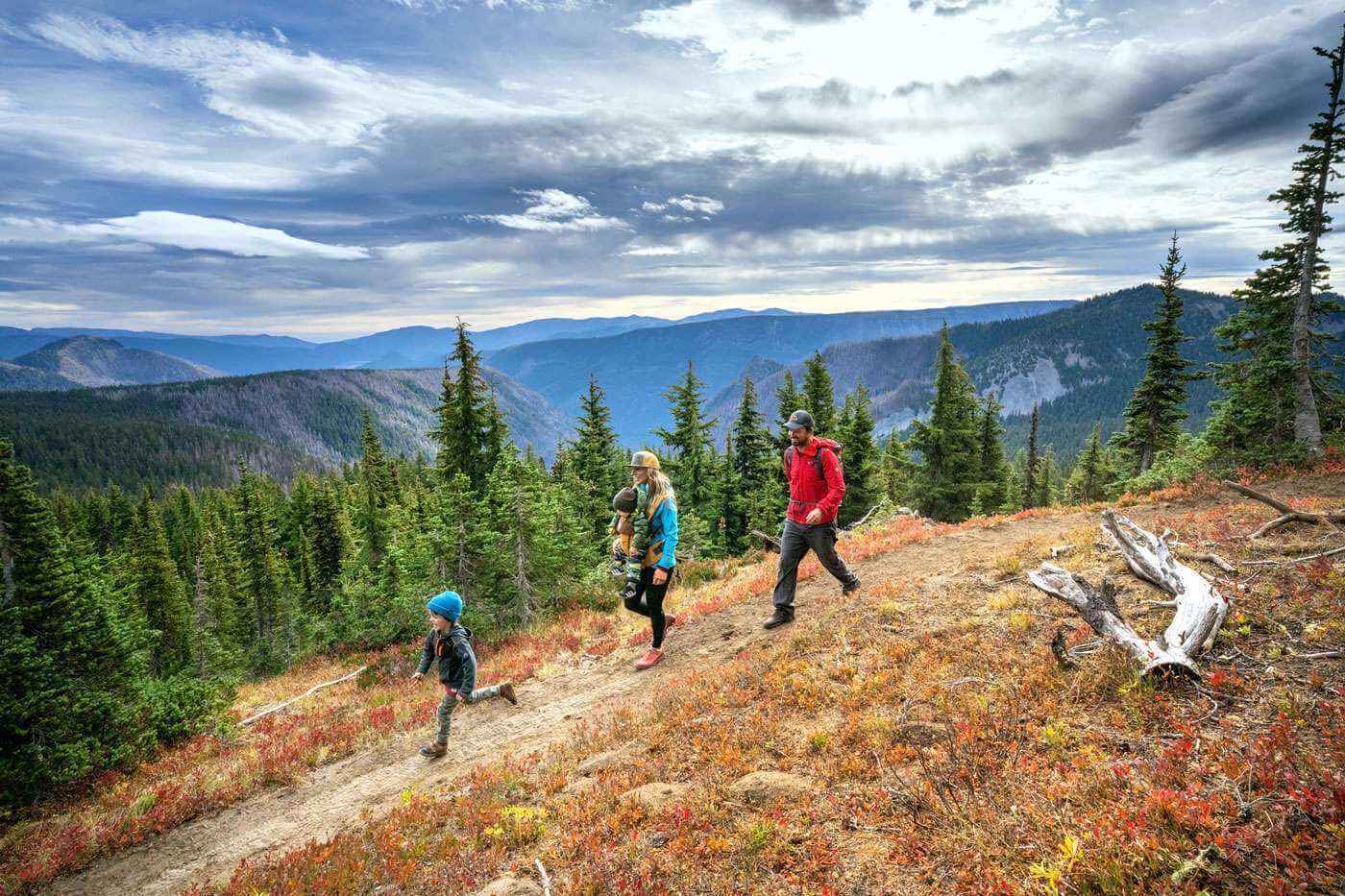 Family hiking along a trail