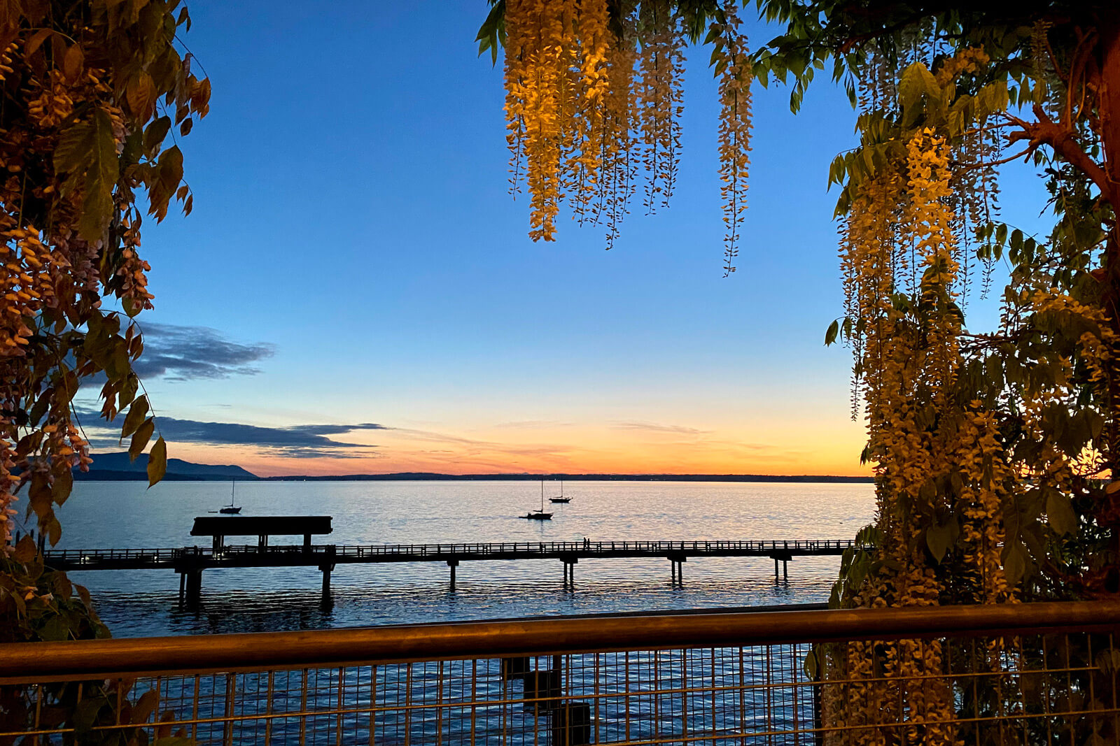 Taylor Dock Bellingham