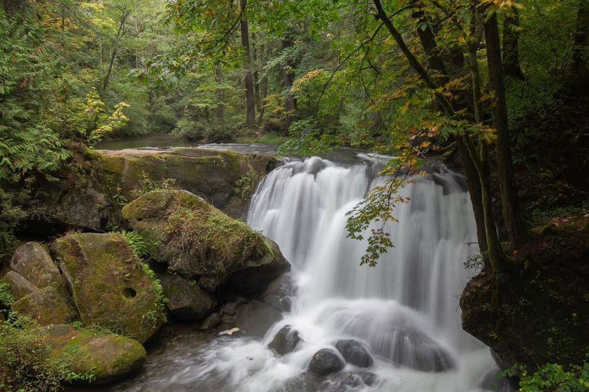 Whatcom Falls Park