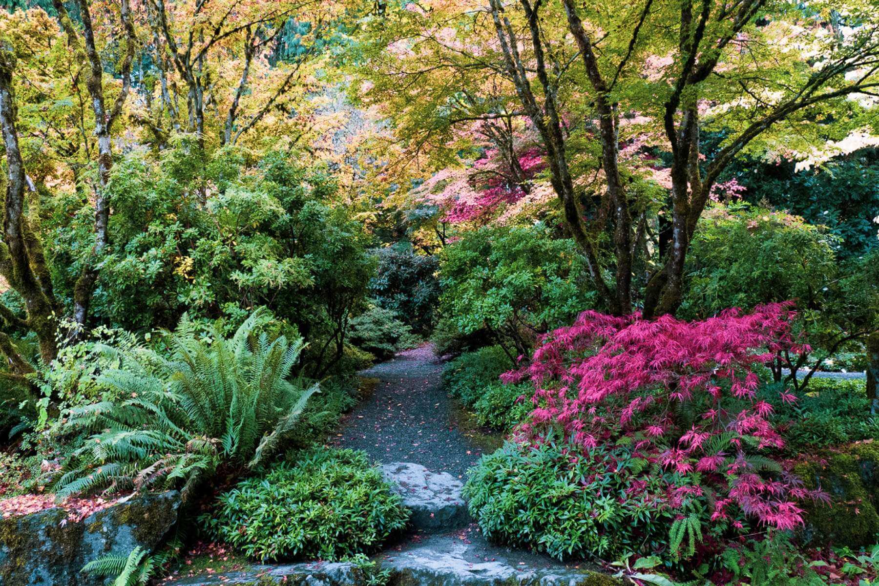 Bellevue Botanical Gardens