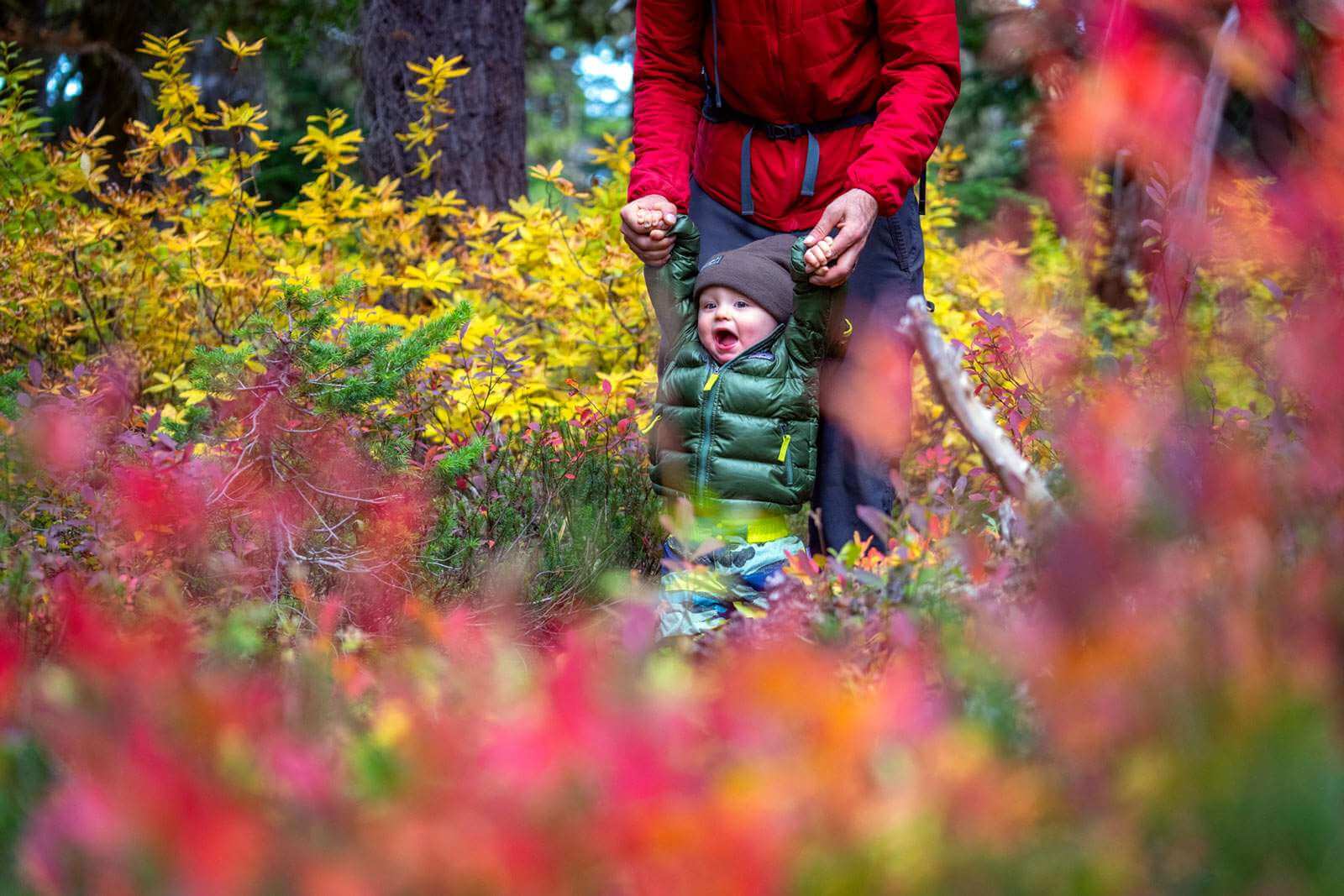 Toddler walking with dad in fall foliage