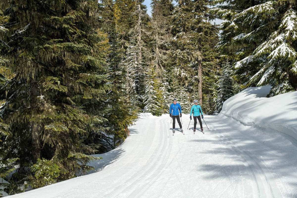 Man and woman skiing along a trail in the forest
