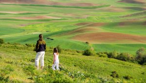 Open Spaces: Driving the Palouse Scenic Byway