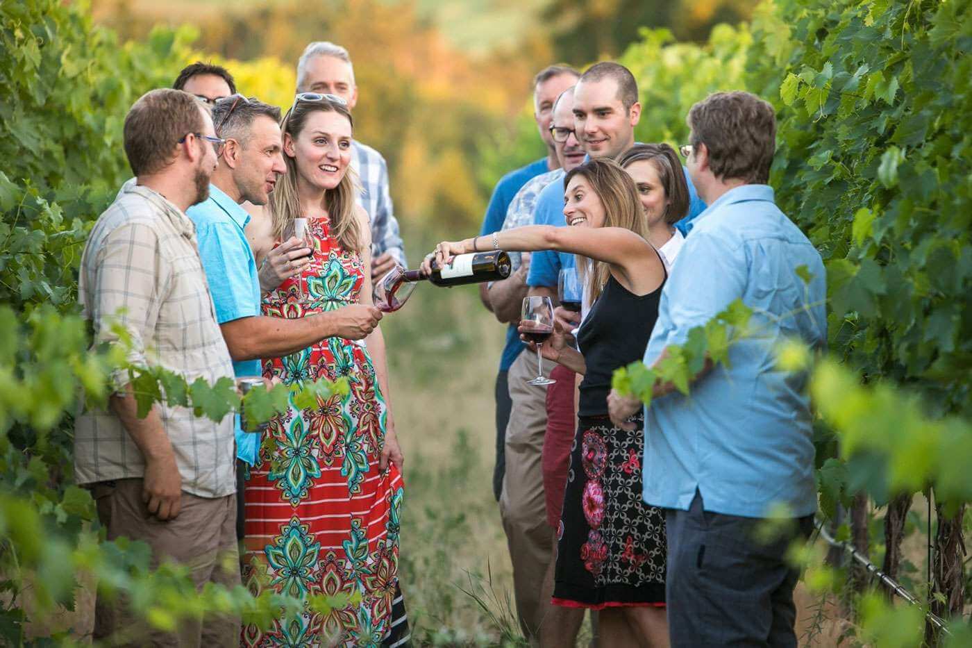 A group of men and women enjoy wine in a vineyard in Walla Walla