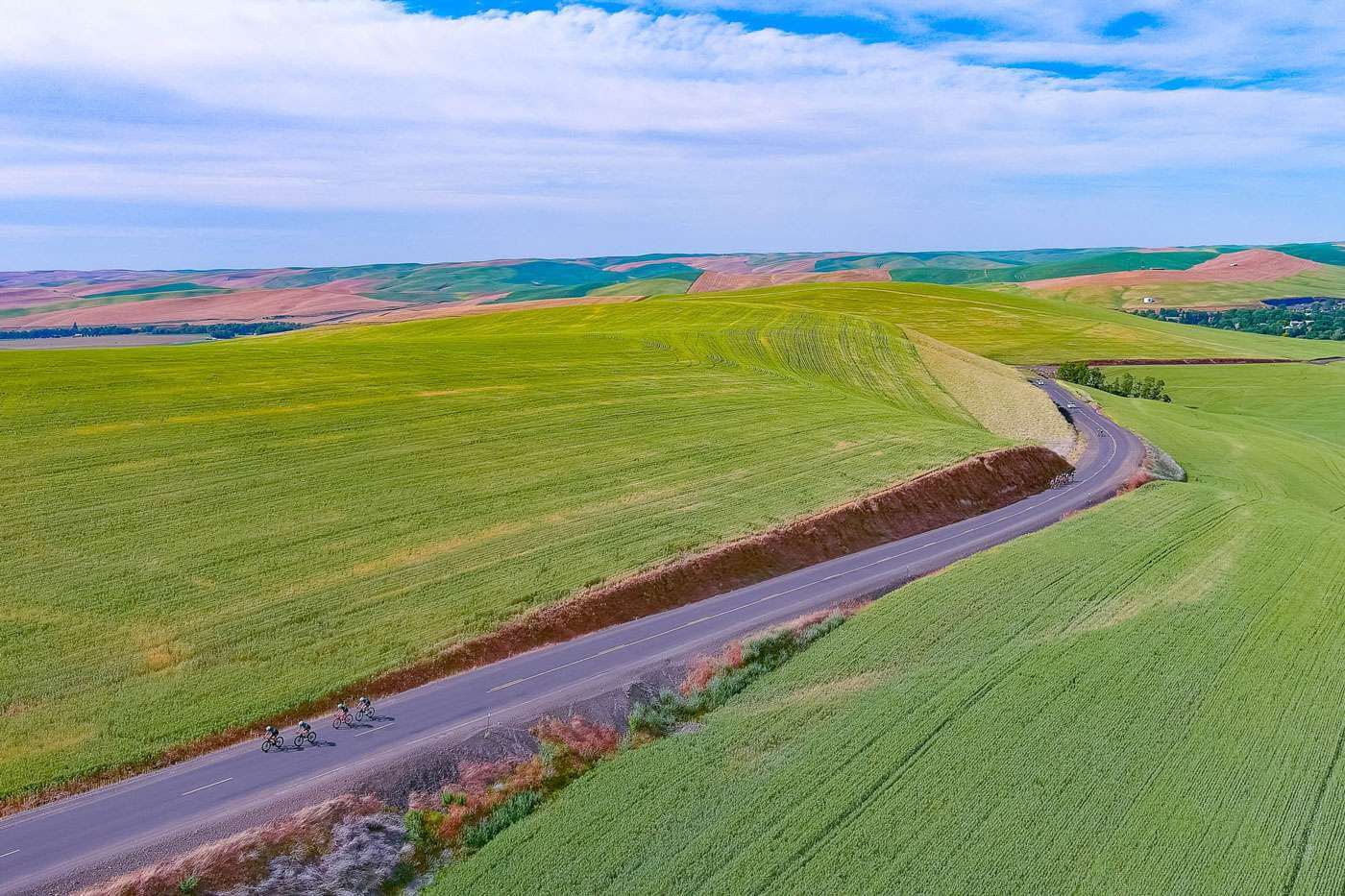 A road winds through wheat fields