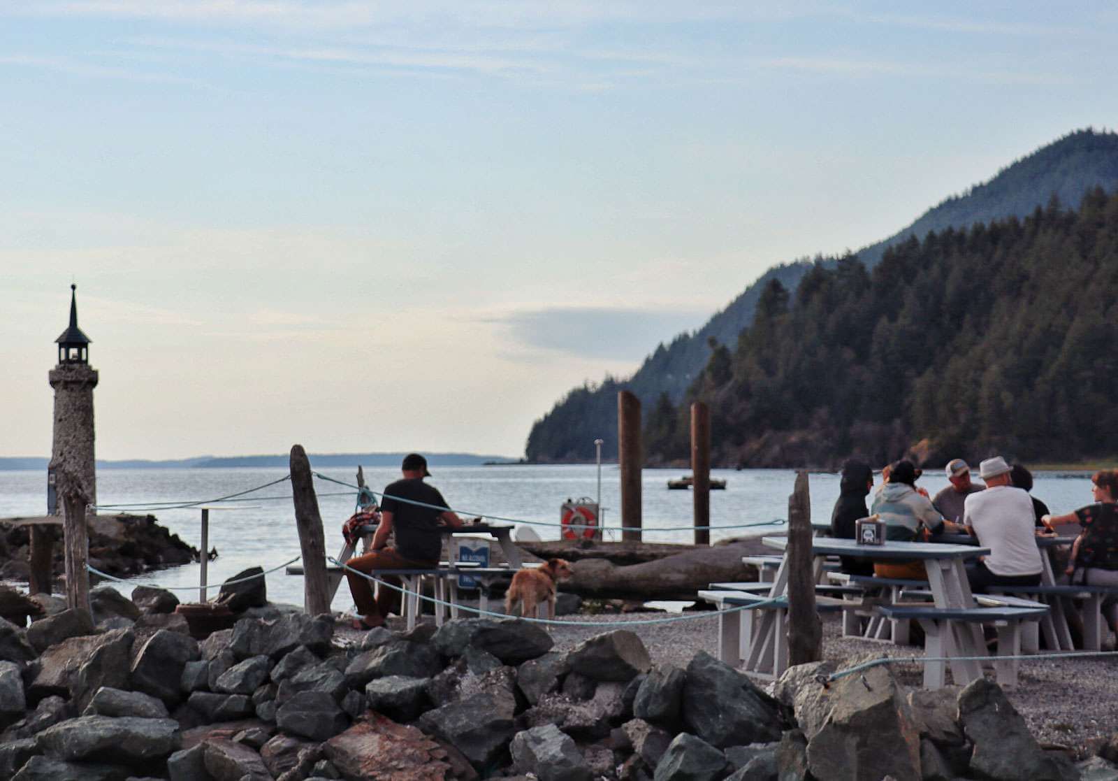 People eat oysters at picnic tables along the water at Taylor Shellfish Farms, a stop along the Salish Sea oyster road trip