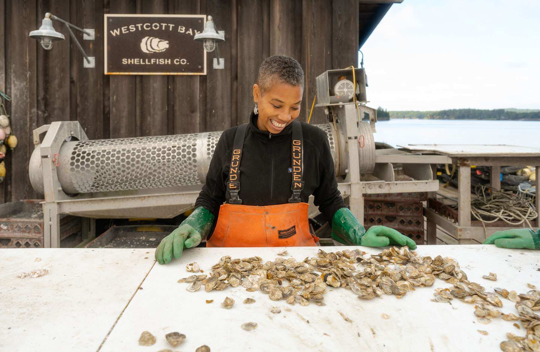 A woman wearing waders and heavy green plastic gloves looks down at fresh oysters at Westcott Bay Shellfish Co.  