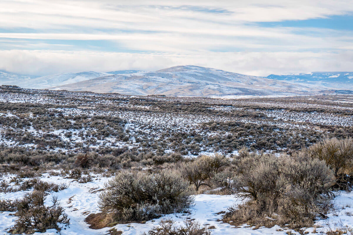 Snow dusts sagebrush in Cowiche Mountain, a family friendly winter hike in Washington