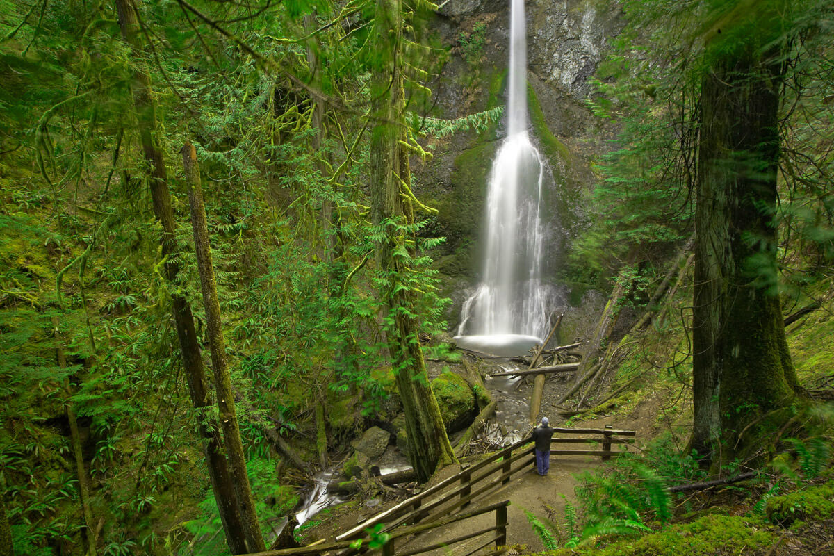 A person stands at an observation area for Marymere Falls, a family friendly winter hike in Washington