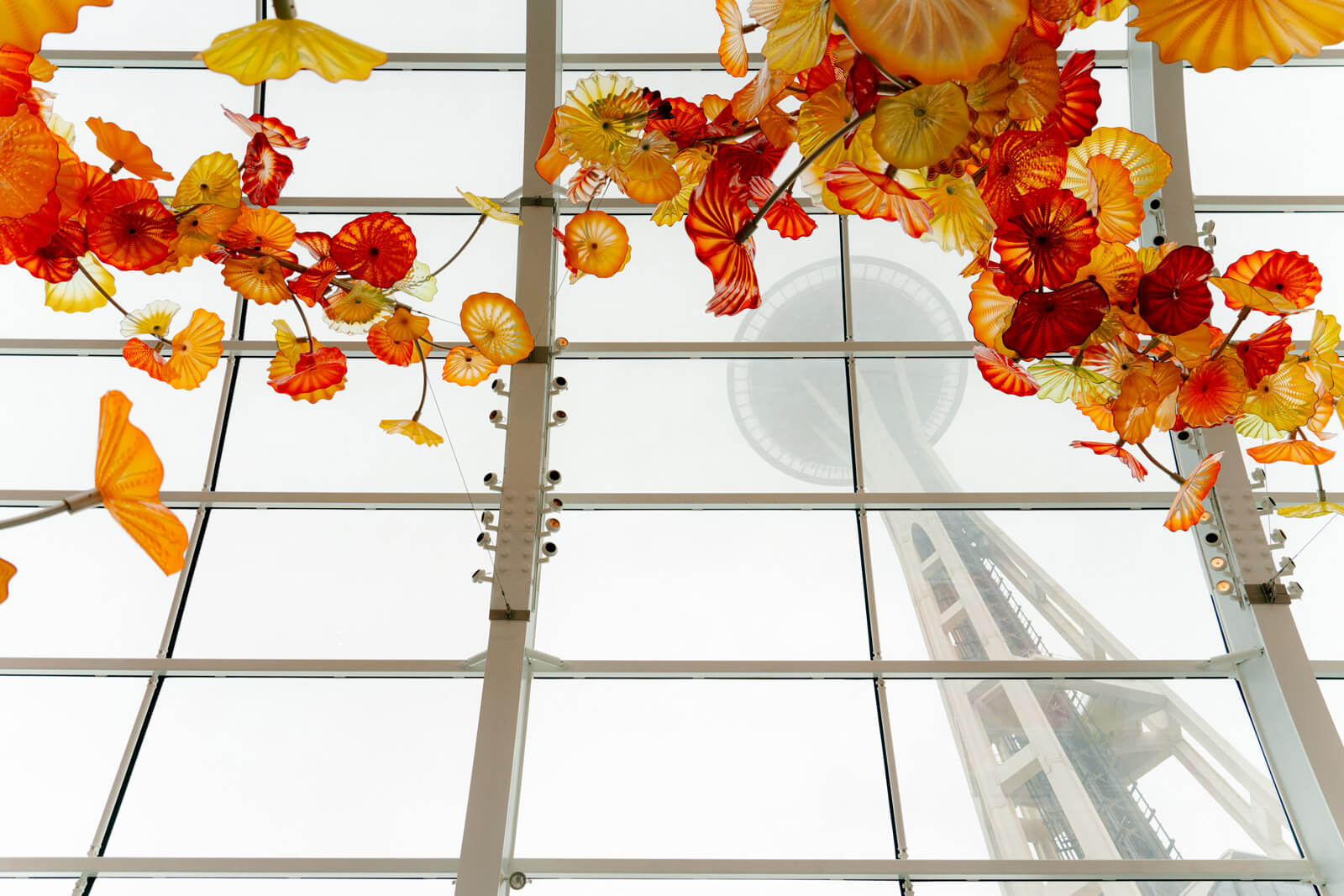 Orange, yellow, and red glass is suspended from a glass ceiling at Chihuly Garden and Glass in Seattle