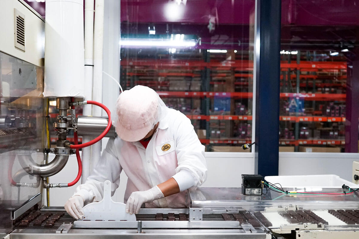 A worker at Seattle Chocolate sorts chocolates on a conveyor belt. 