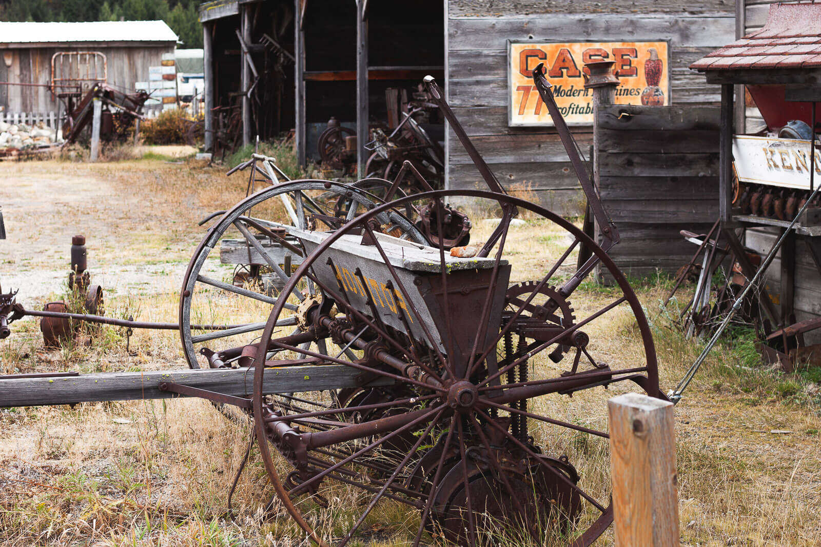 Old farming equipment stands in tall grass in the Washington ghost town of Molson
