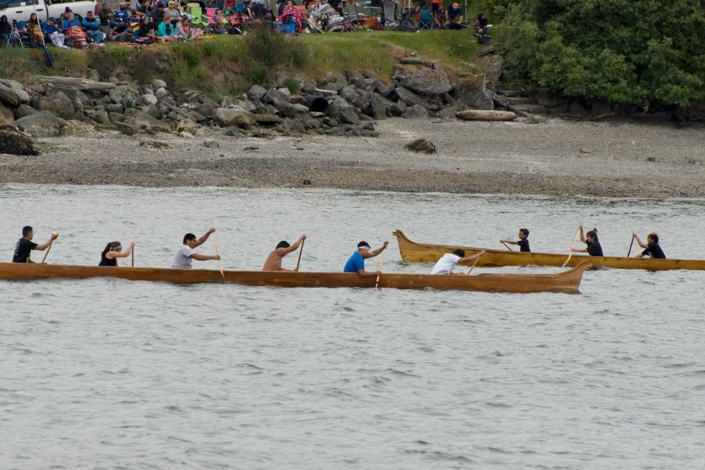Native American men and women paddle wooden canoes during the Penn Cove Water Festival.