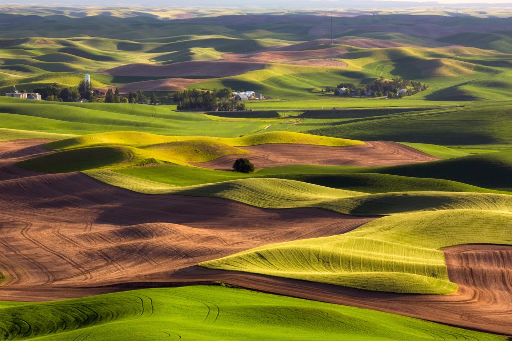 Rolling farmland with alternating patches of green filed and brown earth of the Palouse Scenic Byway. 