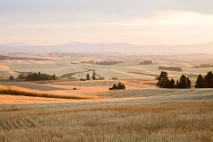 Palouse WA