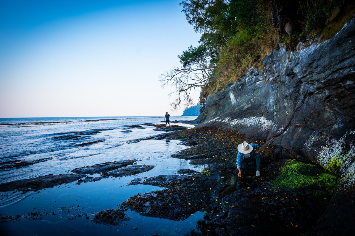Two people look at tidepools, one of many things to do in Port Angeles 