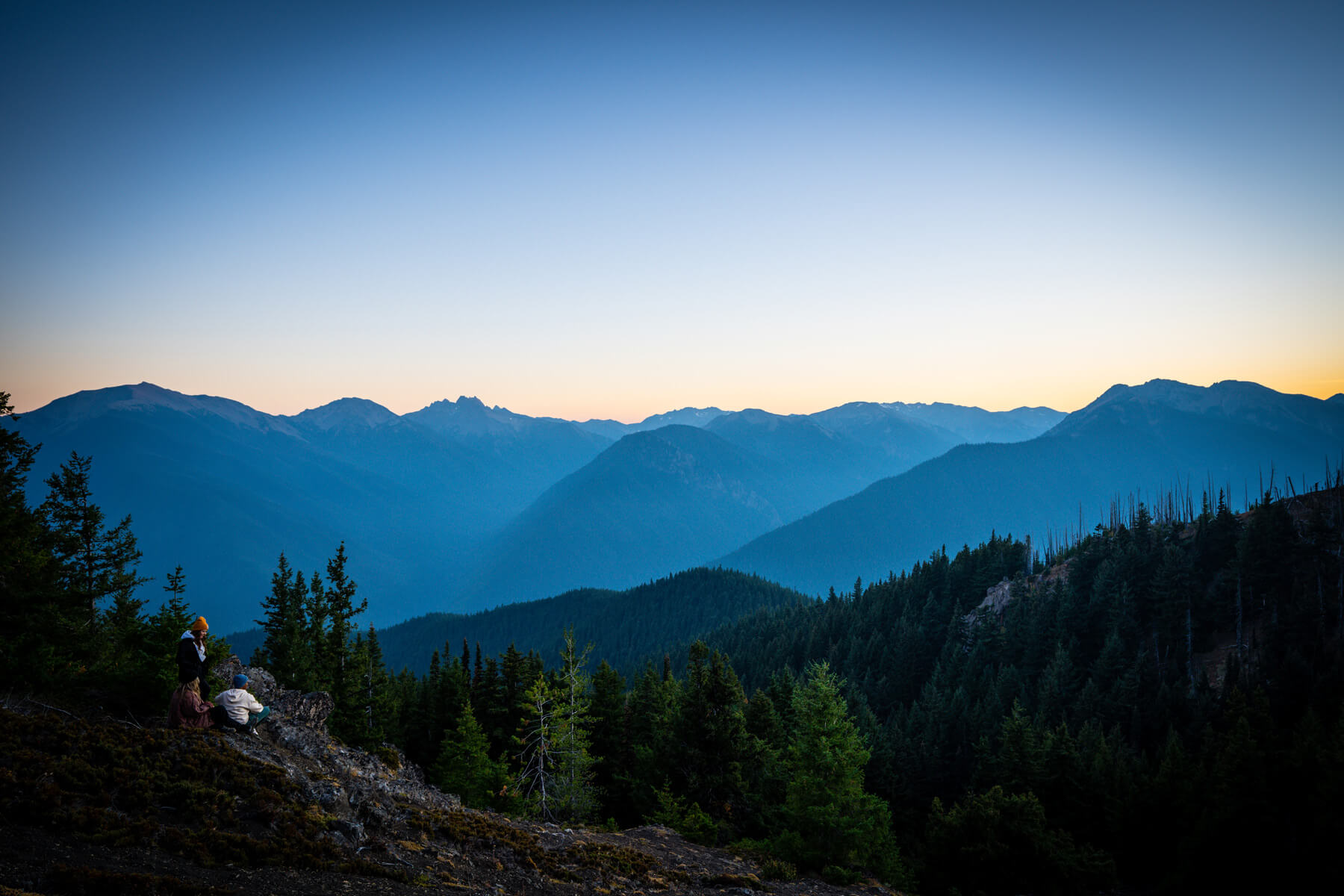 Three people look out over the mountains near Hurricane Ridge