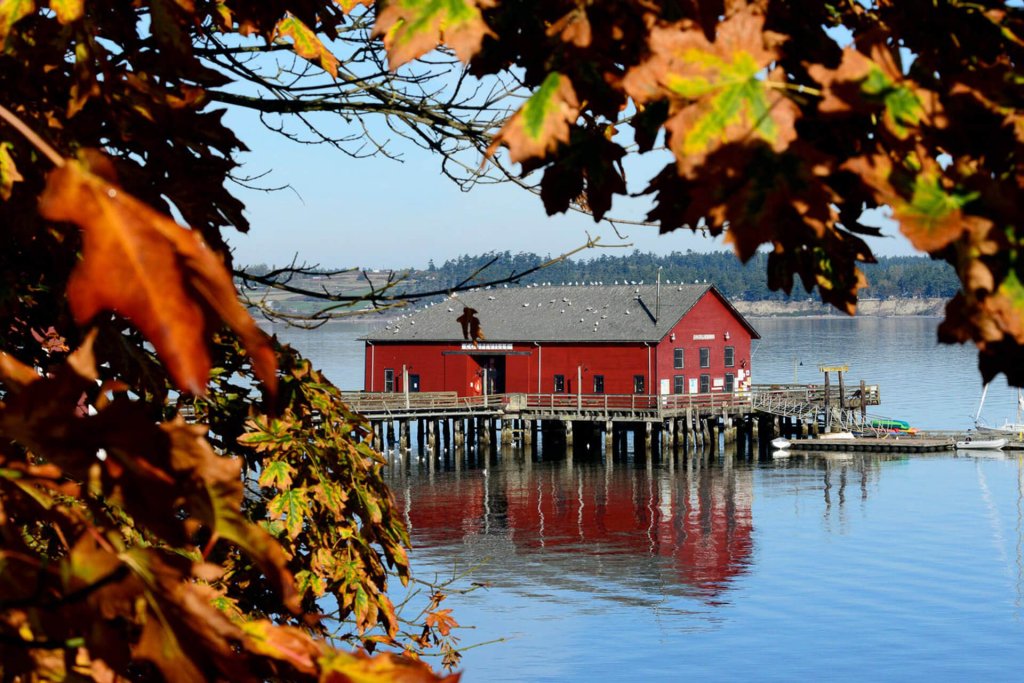 Washington's Islands Region