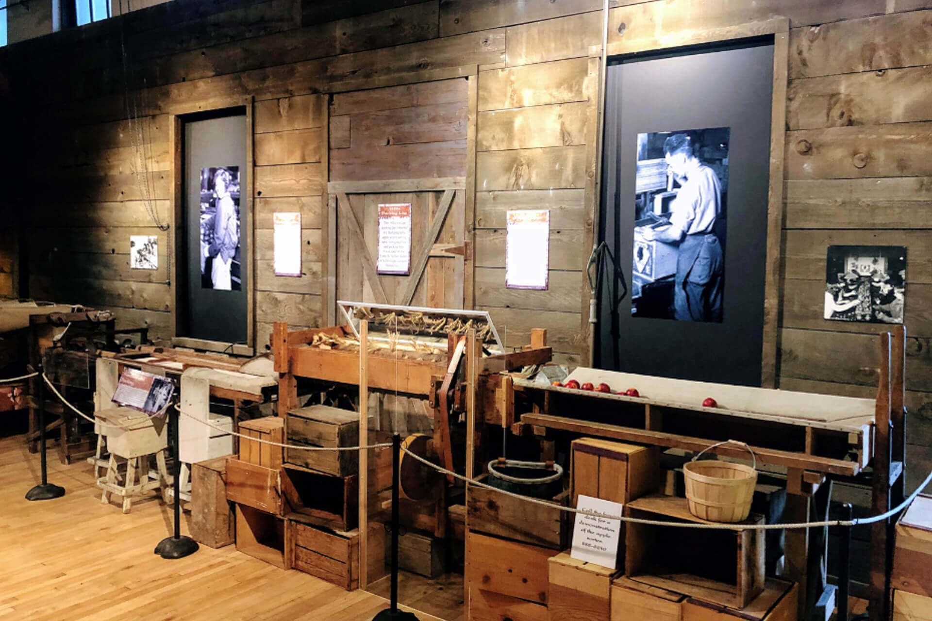 An exhibit on apple sorting at the Wenatchee Valley Museum and Cultural Center.