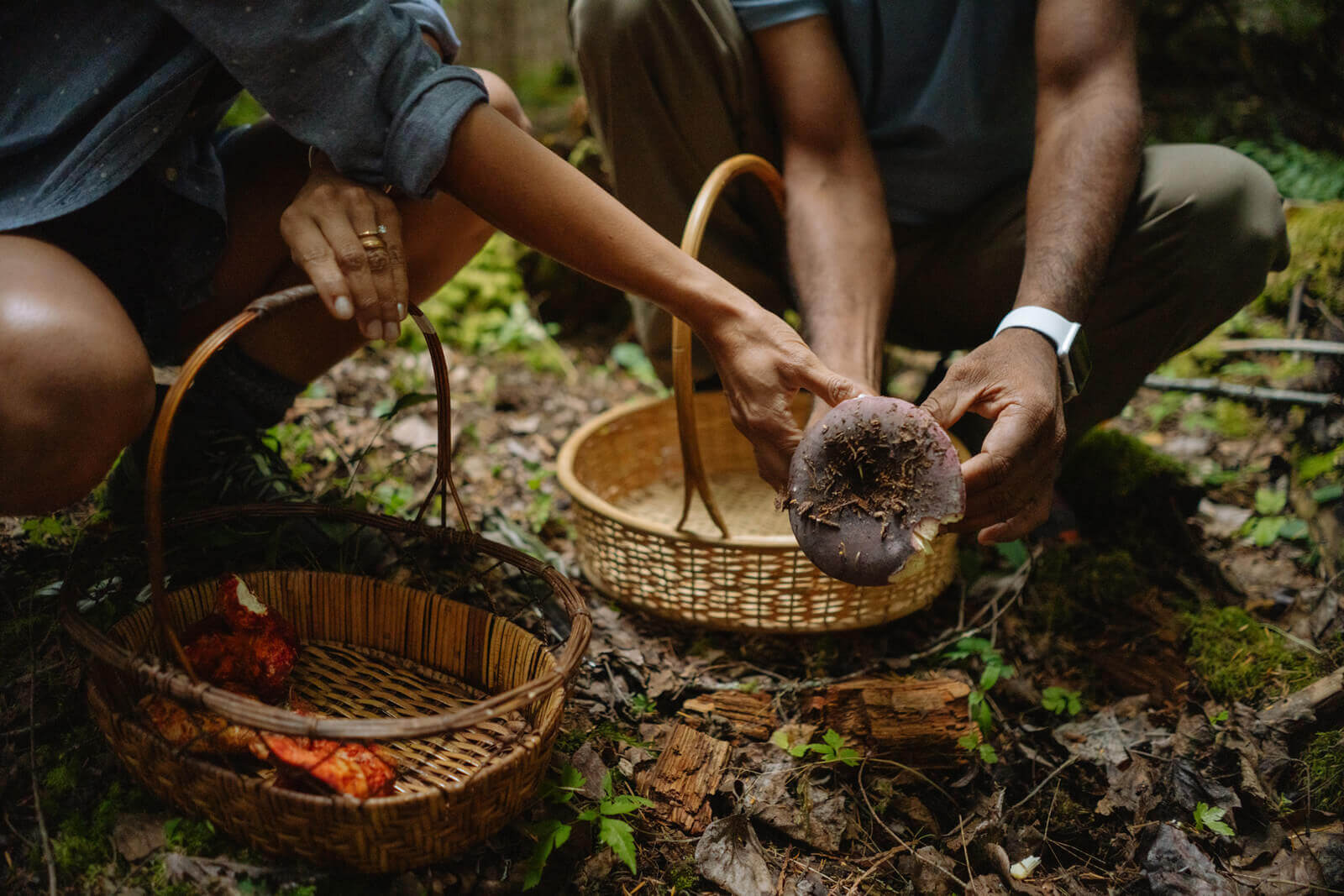 Mushroom hunting in Washington: Two people crouch on the forest floor holding baskets.