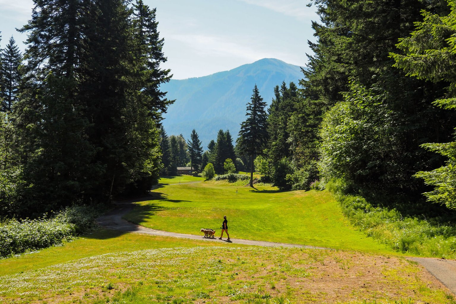 Dog Friendly Vacations Washington 11 Pet Friendly Vacations