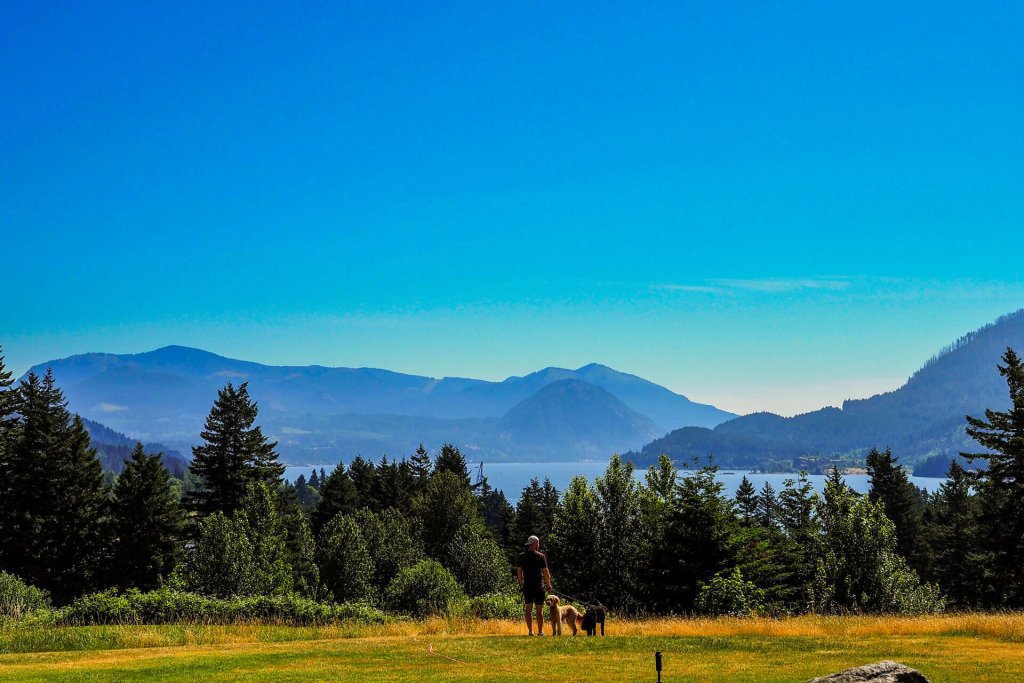 A man stands with two dogs overlooking the Columbia River Gorge in Washington