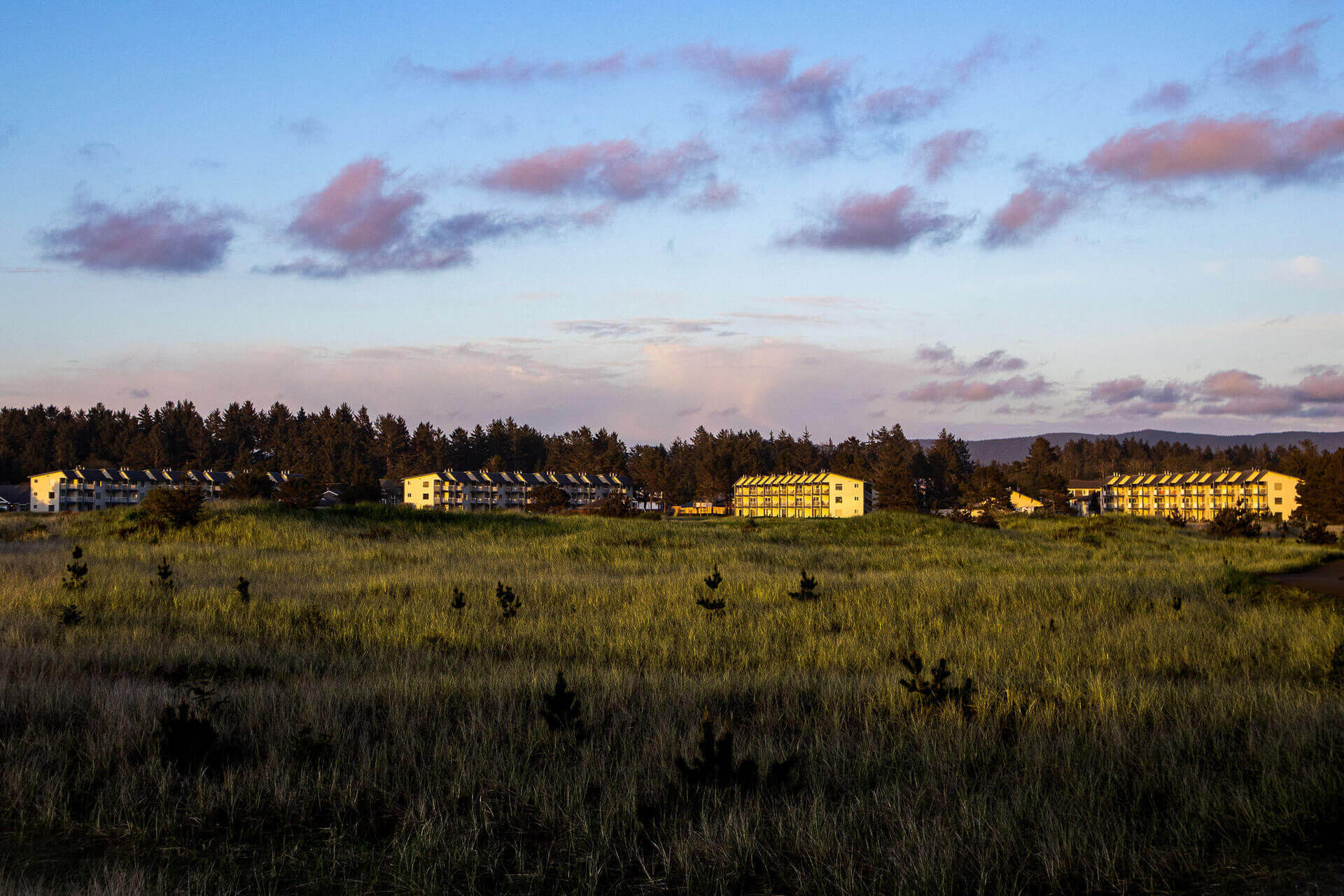 Tall grasses stretch in front of a hotel in the distance