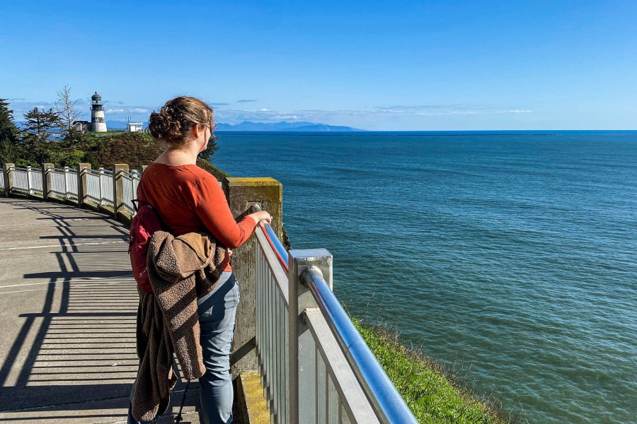 Things to Do in Long Beach WA With Kids Clams and Kites