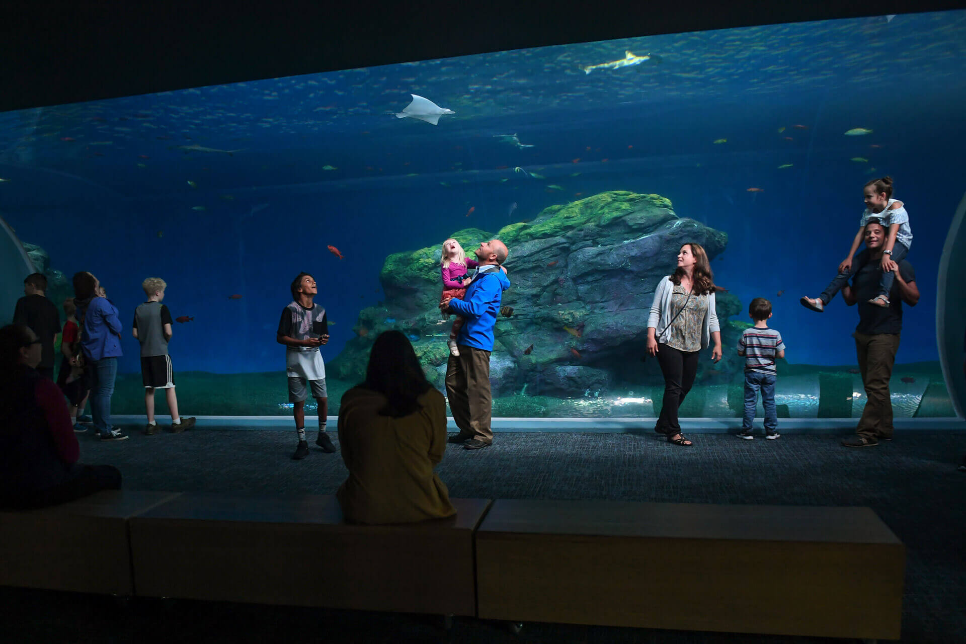Children and adults view fish and other marine life inside a clear walkway at the Point Defiance Zoo & Aquarium