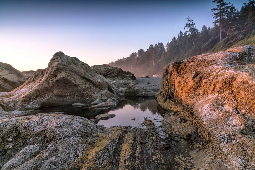 Kalaloch Beach 4