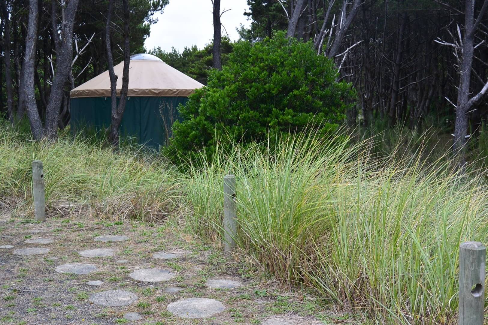 Grayland Beach State Park