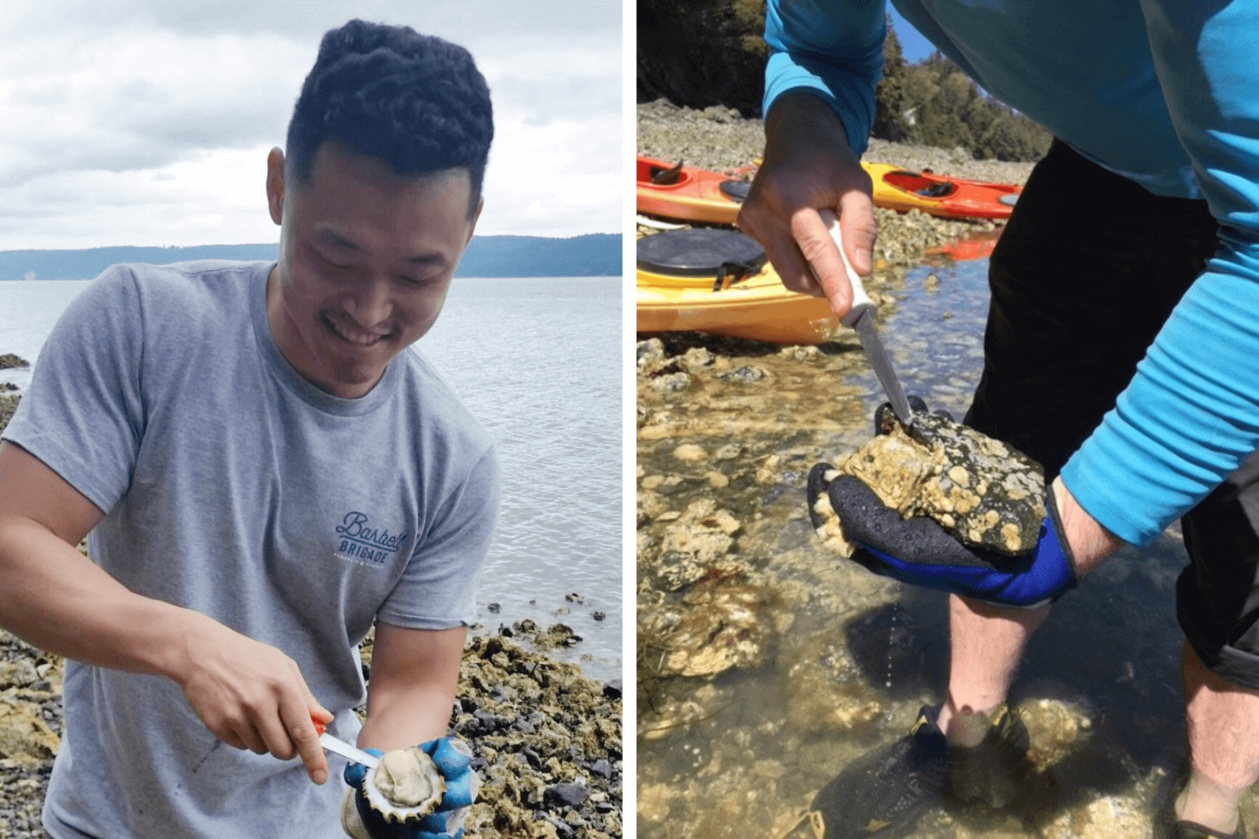 A man uses a small knife to shuck an oyster along a rocky shorline after kayaking in Washington.