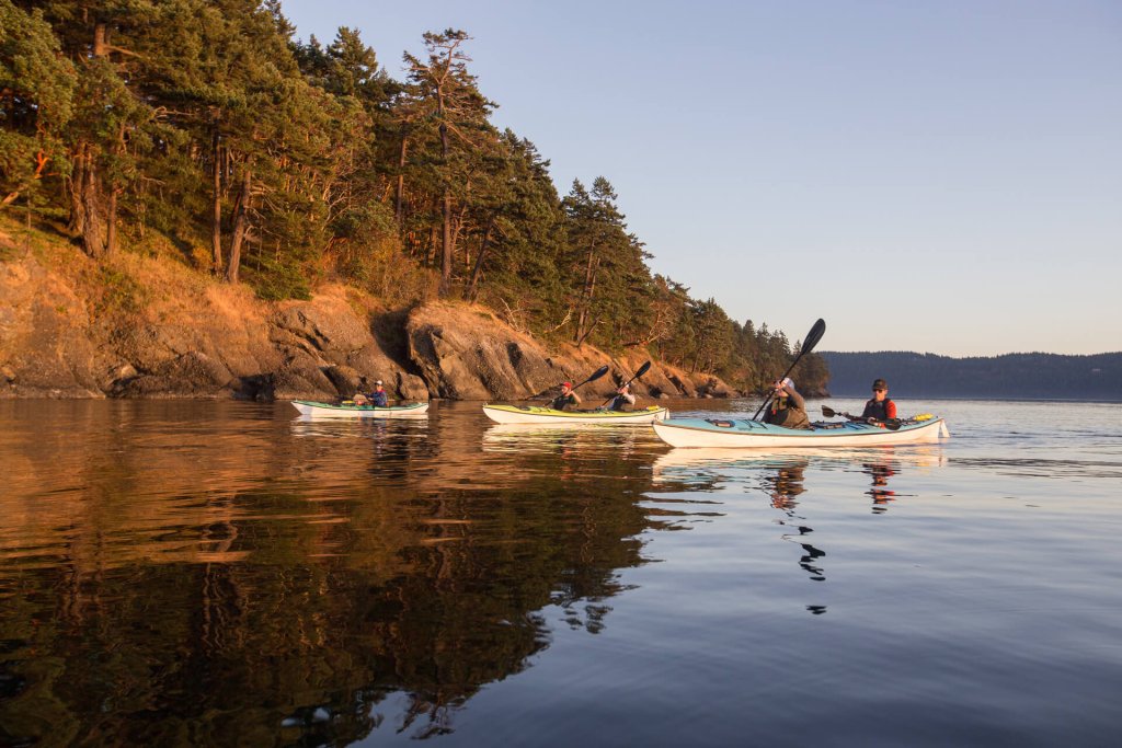 A group of kayakers paddle past cliffs ringed with trees.