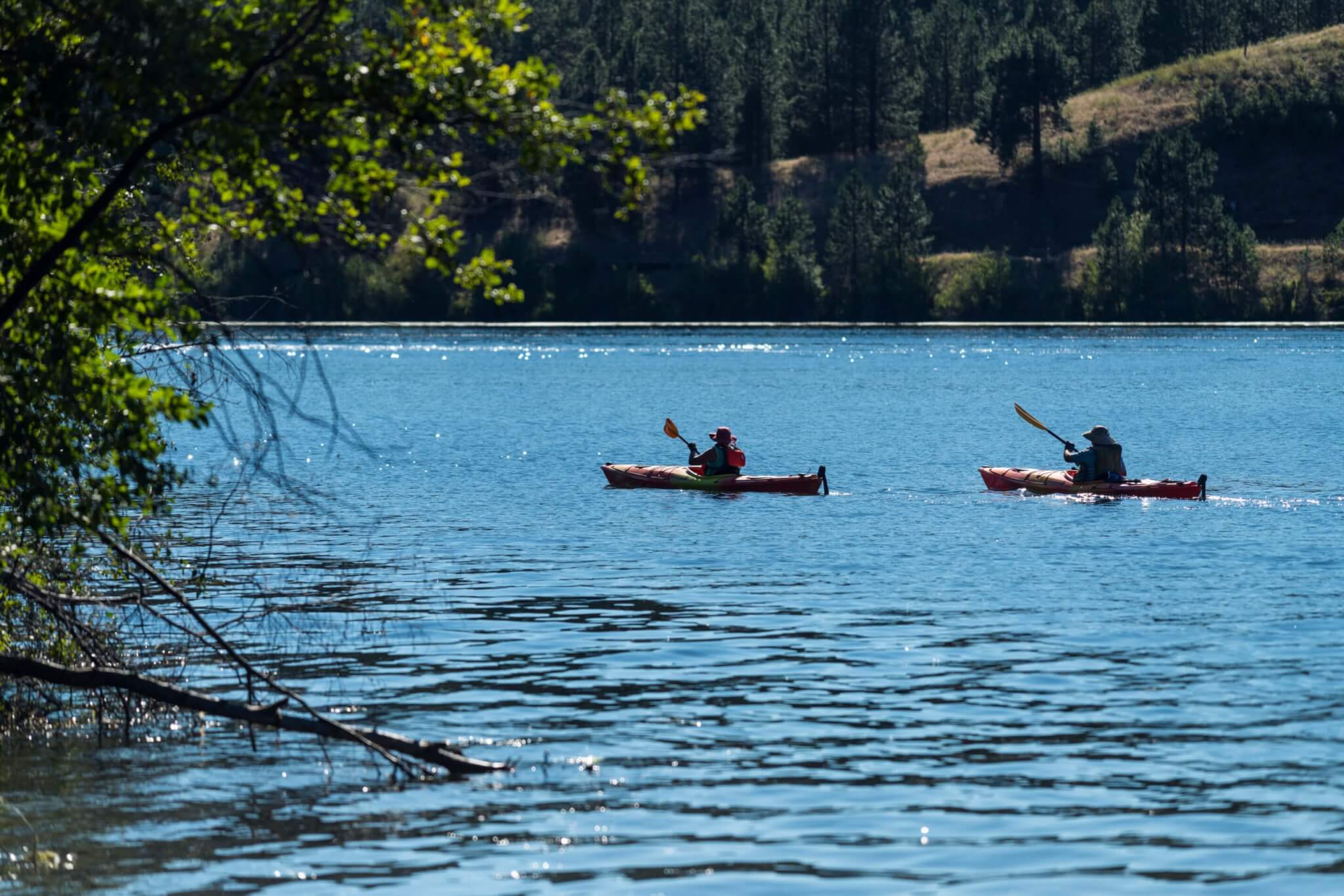 Two people wearing hats kayak along a sun-dappled lake in Eastern Washington.