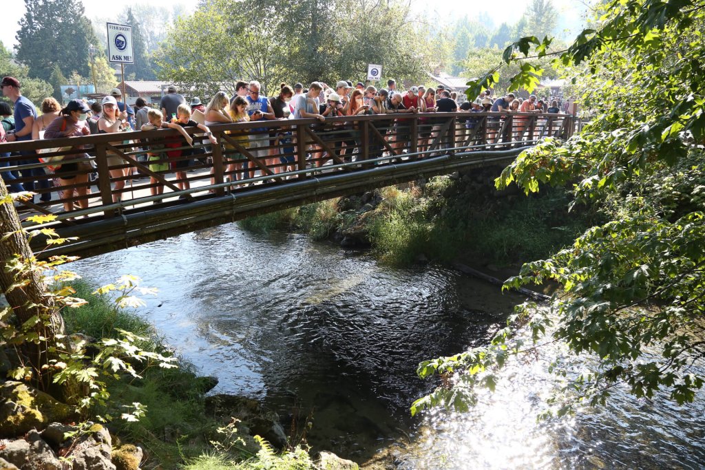 Explore Annual Seafood Festivals in Washington State