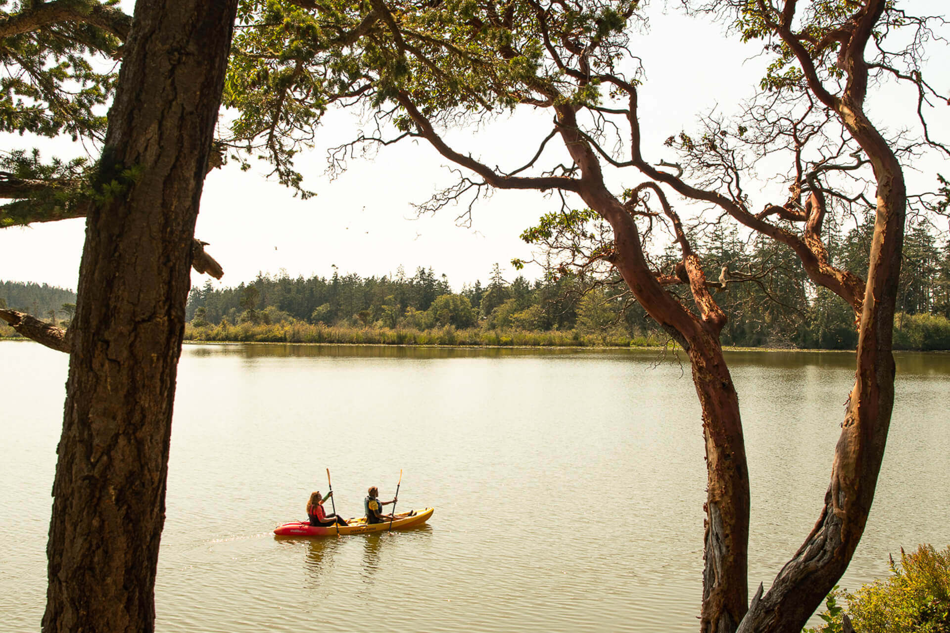 Two people kayak along the shore of a lake in Deception Pass State Park.
