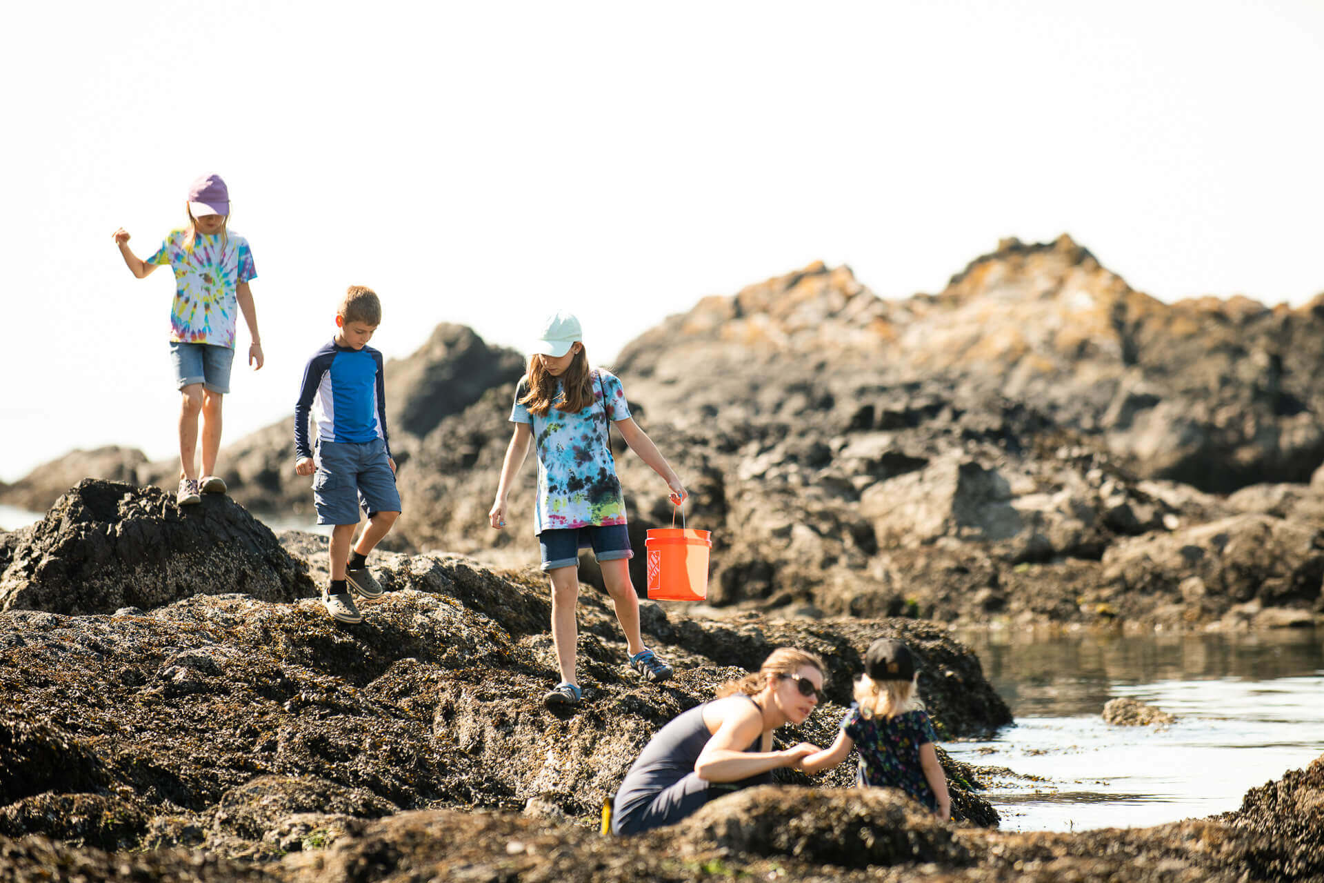 Four children and a woman look into tide pools at Deception Pass State Park.
