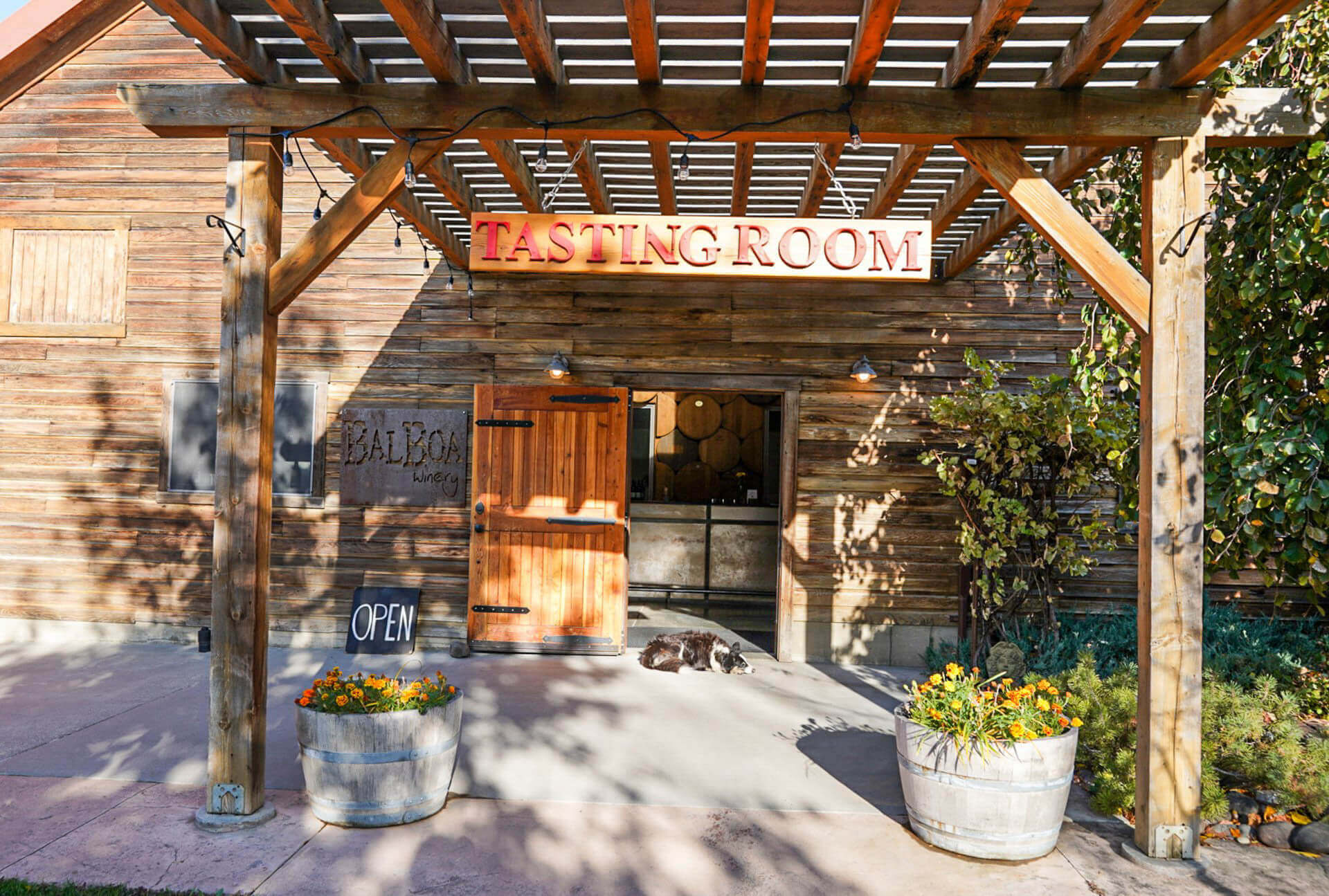 Dog Friendly Vacations Washington 11 Pet Friendly Vacations