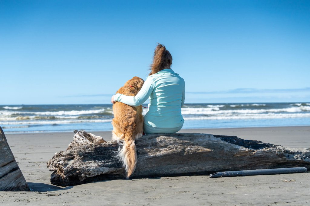A woman and dog sit on driftwood on the beach and watch the waves